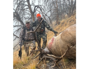 Sns Wyoming Wilderness Elk 2026 8.jpg